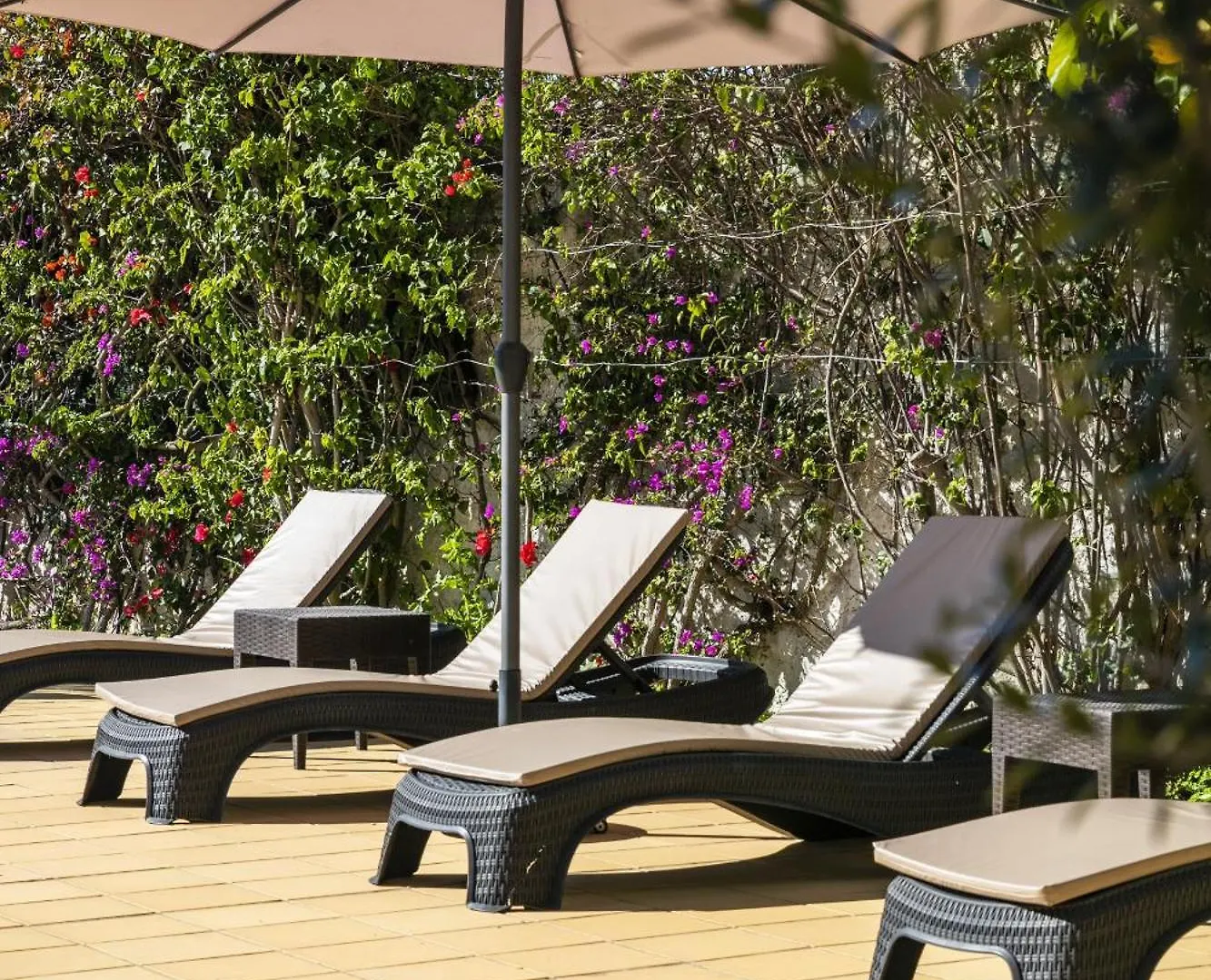 Casa Palm House By Boaz Rentals Carvoeiro  Carvoeiro (Lagoa)