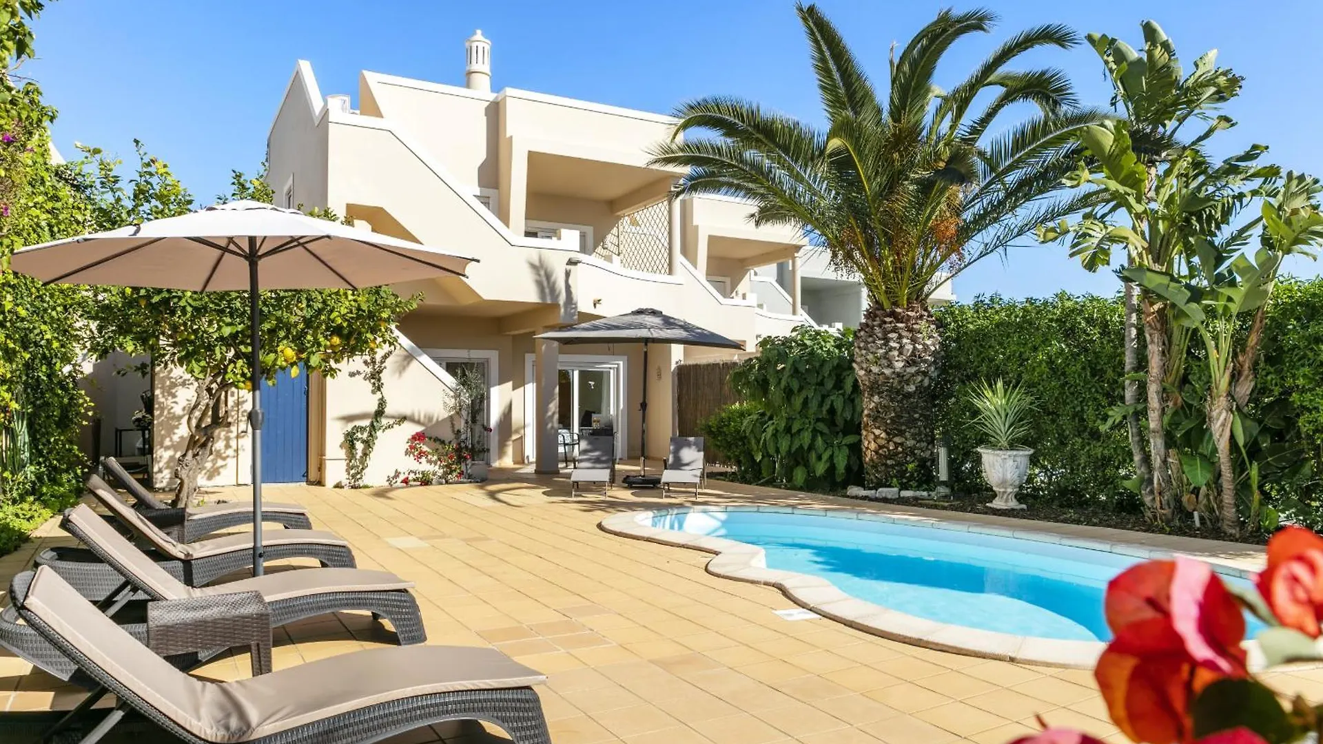 Casa Palm House By Boaz Rentals Carvoeiro