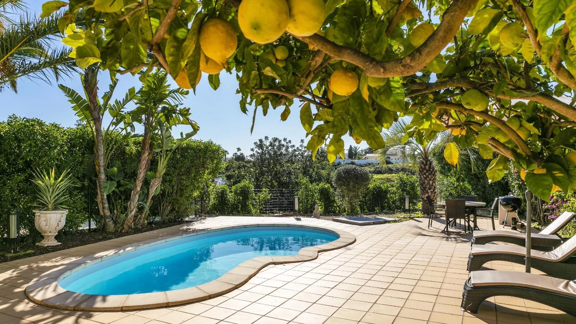 Casa Palm House By Boaz Rentals Carvoeiro  Portugal