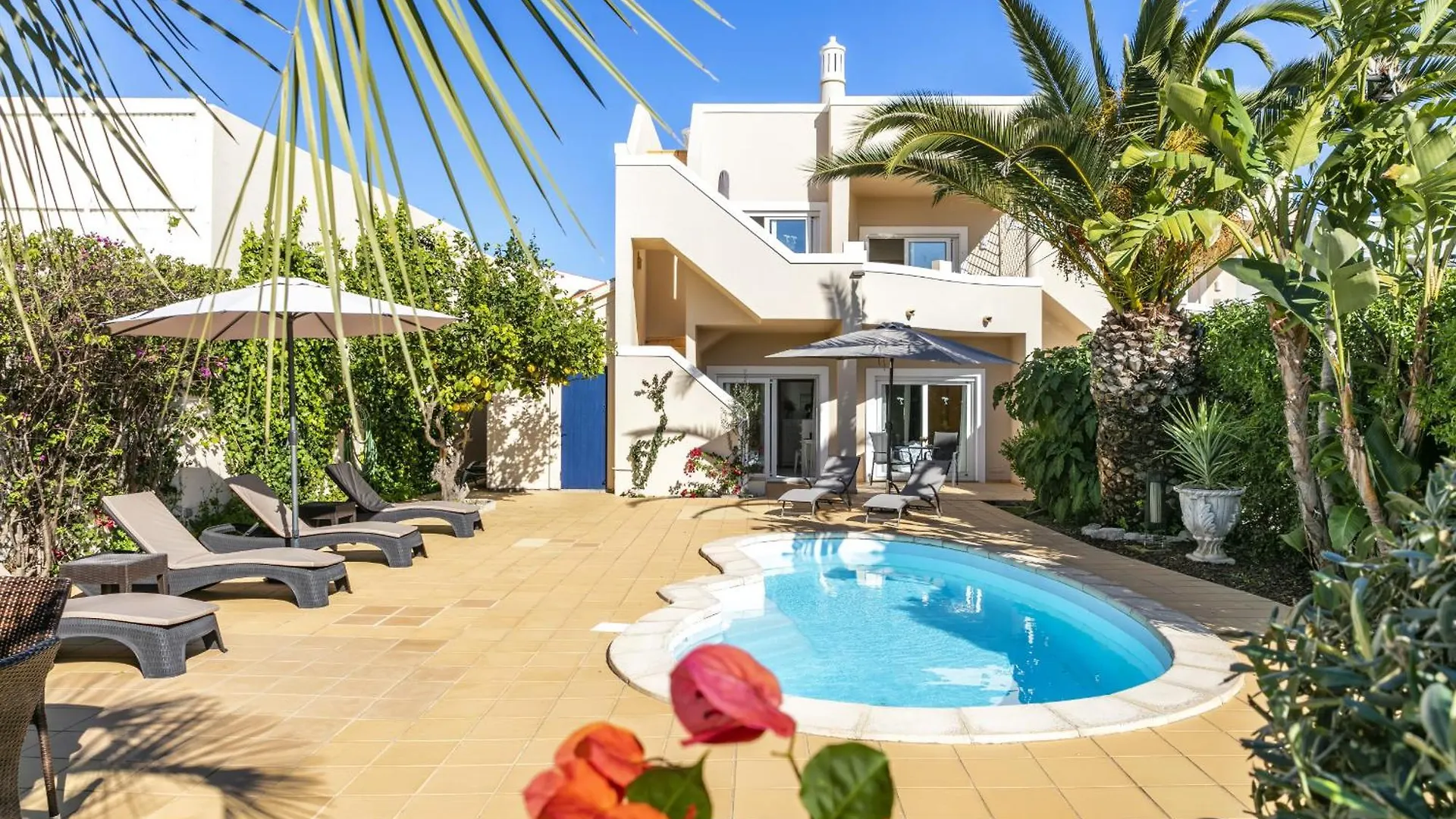 Casa Palm House By Boaz Rentals Carvoeiro  0*, Carvoeiro (Lagoa)